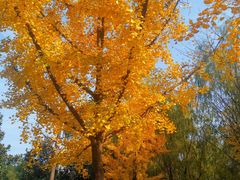 -大明宫国家遗址公园·御道广场