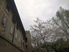 -武汉大学-樱园