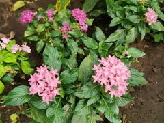 -北京植物园-展览温室