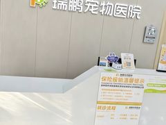 -瑞鹏宠物医院·骨外科·心肾科·肿瘤科(九亭店)