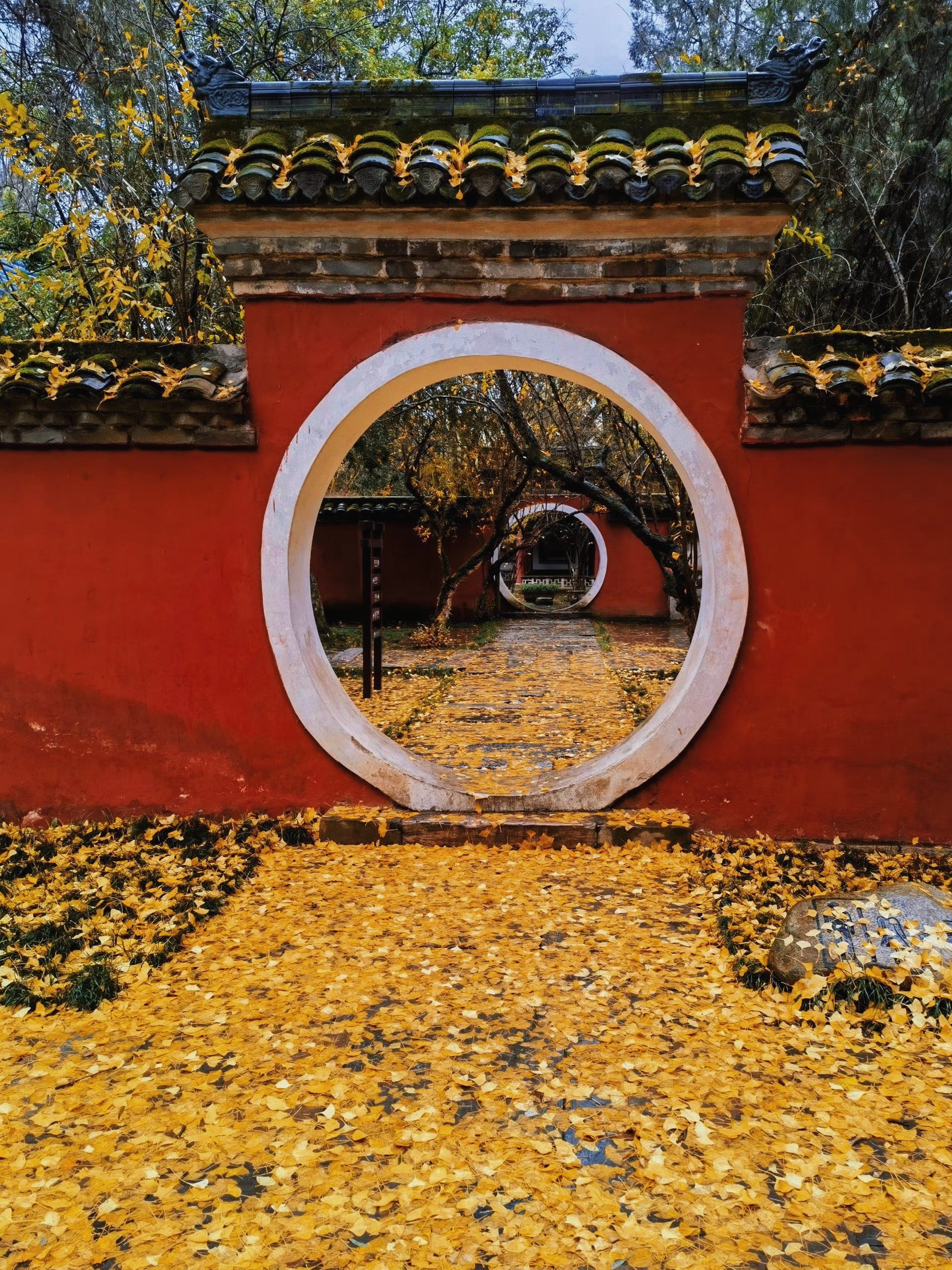 著名政治家和军事家诸葛亮的祠堂[点赞]
这个季节的武侯祠红墙金叶