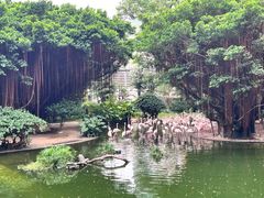 -九龙公园