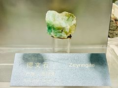-中国地质博物馆