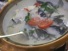 千岛湖浓汤鱼头-全乐鱼馆·淳牌有机鱼直营店