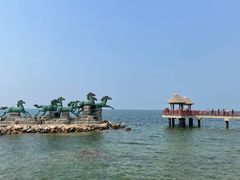 -养马岛旅游度假区
