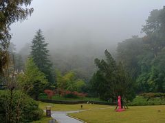-缙云山景区