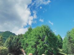 -硗碛藏寨·神木垒景区