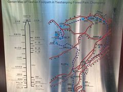 -铁山坪森林公园