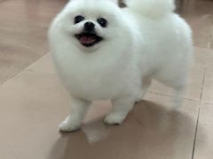 -MOLLY'S萌宠生活馆