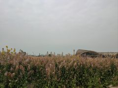 -中国天府农业博览园