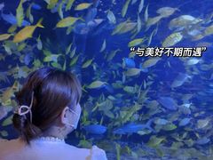 -太平洋海底世界