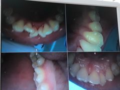 -牙博士口腔(杨浦店)