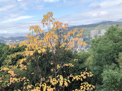 -梅峰山地公园