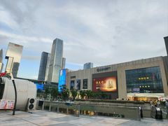 -何记花甲(海岸城旗舰店)