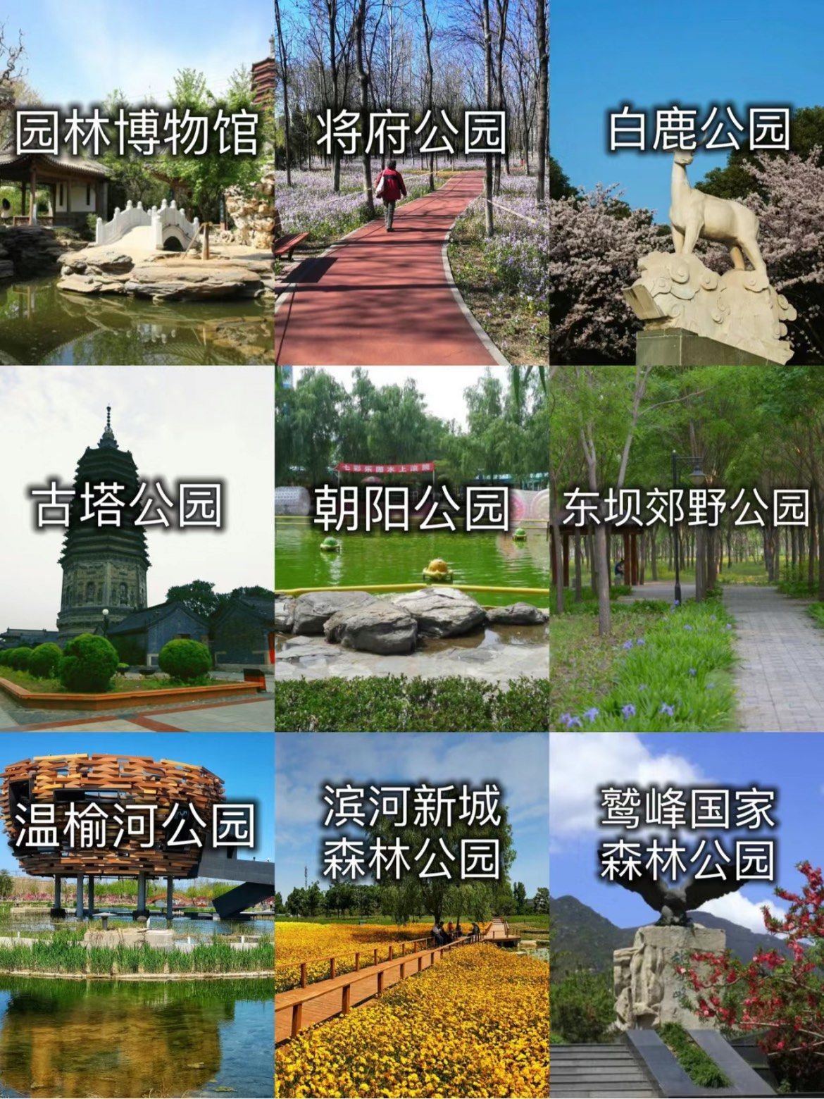 自然,文化和乐趣的结合