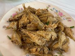 -小六农家乐(崇明西沙湿地店)