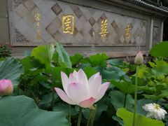-上海圣淘沙万怡酒店
