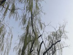-迎泽公园