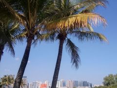 -深圳湾公园(南山区)
