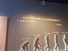 -广西壮族自治区博物馆