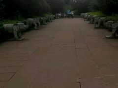 -峨眉山报国寺