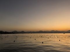 -杭州君悦酒店