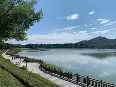 -风云岭森林公园
