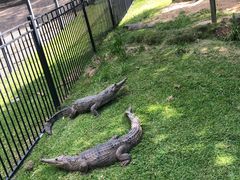 -可伦宾野生动物保护区