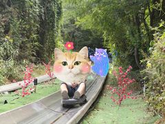 -富斯特索道