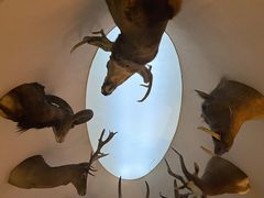 -陕西自然博物馆