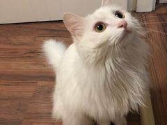 -星巴克(天津大悦城第二店)