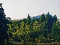 -贡湖湾湿地公园