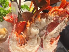 -弦月窗LUNETTE BY AMANDA(复兴路店)