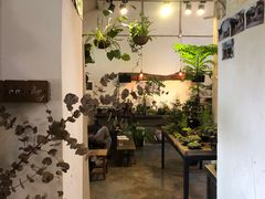 -植觉