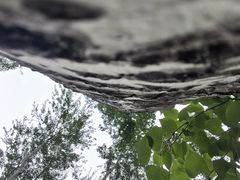 -仁和公园(顺义区)