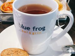 -bluefrog蓝蛙(皇庭广场店)