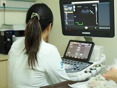 -美联众合动物医院·24h转诊中心