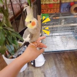 店内环境-日月刺青工作室·高端纹身
