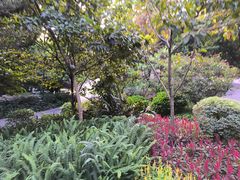 -广州市白云山风景名胜区