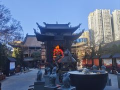 -真庆观