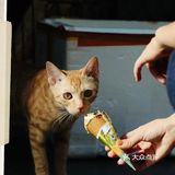 广州拍照|老士多随意拍复古港风写真•童年