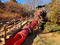 -北京西山国家森林公园