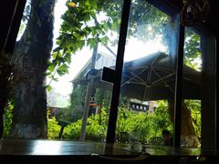-猫屎咖啡(陶溪川店)