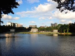 -荔湾湖公园
