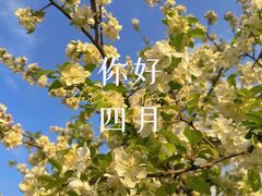 -上海辰山植物园