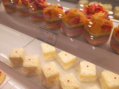 -蒲公英(五里店)
