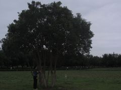 -汉长安城未央宫国家考古遗址公园