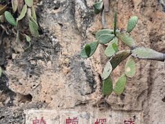 -抚仙湖禄充风景区
