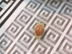 -雅逸居海鲜小厨