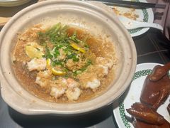 -三强鸽子(中原路店)